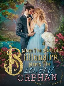 When The Obstinate Billionaire Meets The Lovely Orphan