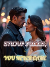 Snow Falls, But You Never Came