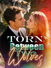 Torn Between Two Wolves