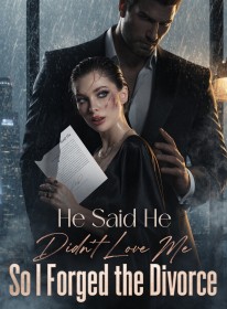 He Said He Didn't Love Me,So I Forged the Divorce