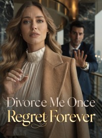 Divorce Me Once, Regret Forever