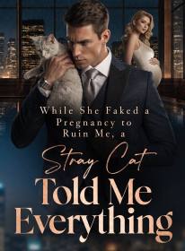 While She Faked a Pregnancy to Ruin Me, a Stray Cat Told Me Everything