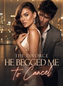The Divorce He Begged Me to Cancel