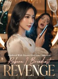 Slandered With Disease Over Lent Underwear, Reborn I Broadcast Revenge