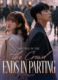 Meeting in the Crowd Ends in Parting